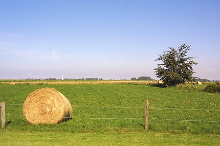 Foto aus der Fotogruppe 